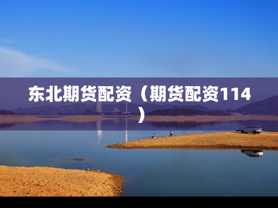 东北期货配资（期货配资114）