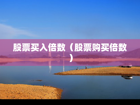 股票买入倍数（股票购买倍数）