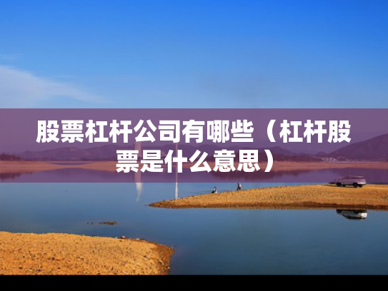 股票杠杆公司有哪些（杠杆股票是什么意思）