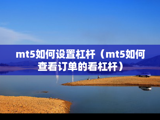 mt5如何设置杠杆（mt5如何查看订单的看杠杆）