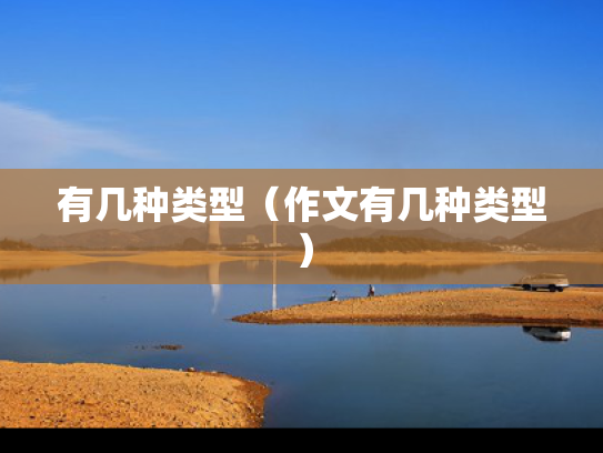 有几种类型（作文有几种类型）