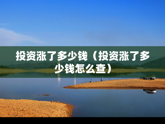 投资涨了多少钱（投资涨了多少钱怎么查）
