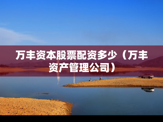 万丰资本股票配资多少（万丰资产管理公司）