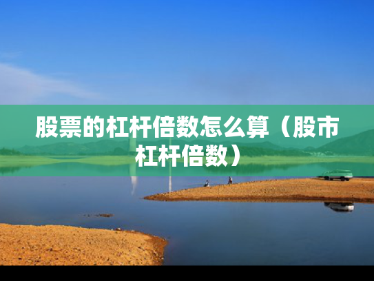 股票的杠杆倍数怎么算（股市杠杆倍数）
