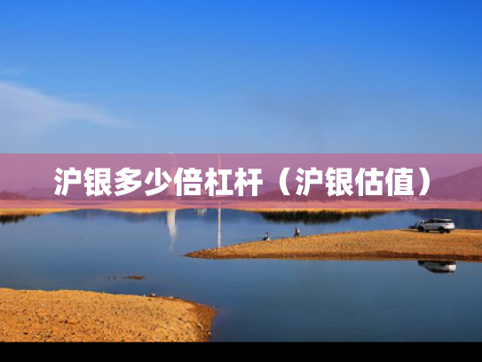 沪银多少倍杠杆（沪银估值）