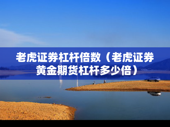 老虎证券杠杆倍数（老虎证券 黄金期货杠杆多少倍）