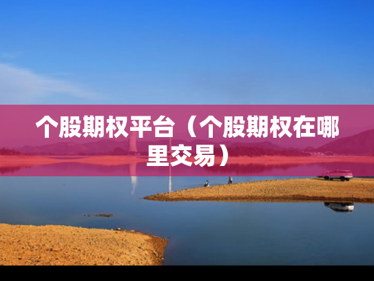 个股期权平台（个股期权在哪里交易）
