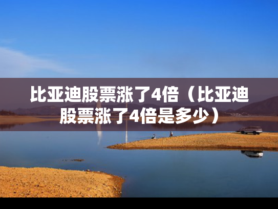 比亚迪股票涨了4倍（比亚迪股票涨了4倍是多少）