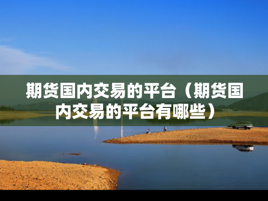 期货国内交易的平台（期货国内交易的平台有哪些）