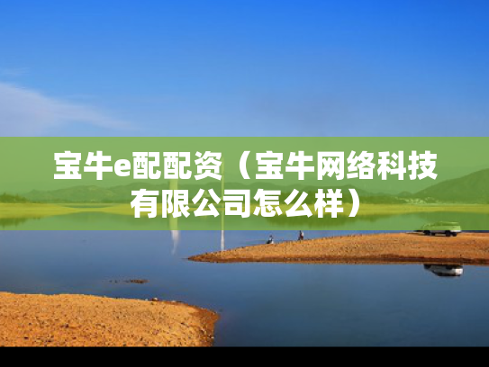 宝牛e配配资（宝牛网络科技有限公司怎么样）