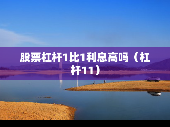 股票杠杆1比1利息高吗（杠杆11）