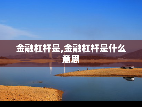 金融杠杆是,金融杠杆是什么意思