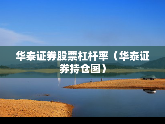 华泰证券股票杠杆率（华泰证券持仓图）