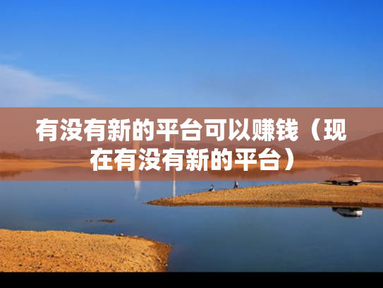 有没有新的平台可以赚钱（现在有没有新的平台）