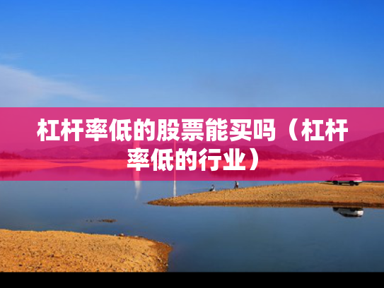 杠杆率低的股票能买吗（杠杆率低的行业）