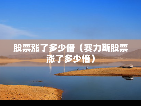 股票涨了多少倍（赛力斯股票涨了多少倍）
