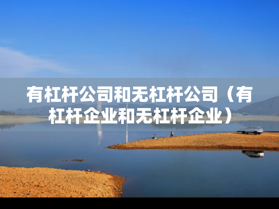 有杠杆公司和无杠杆公司（有杠杆企业和无杠杆企业）