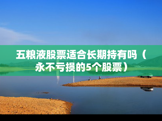五粮液股票适合长期持有吗（永不亏损的5个股票）