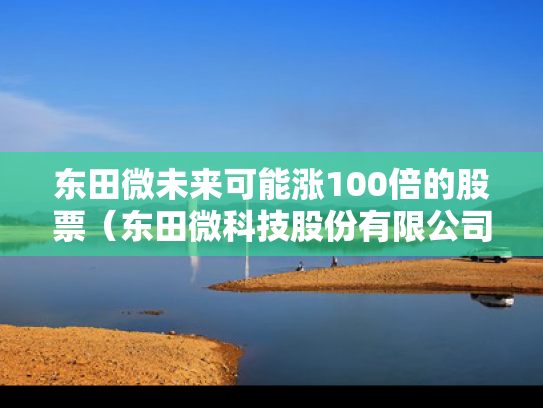 东田微未来可能涨100倍的股票（东田微科技股份有限公司）