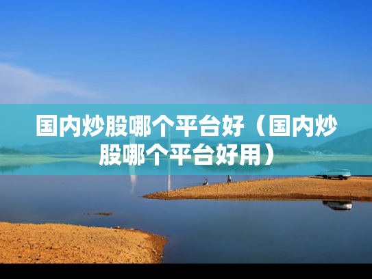 国内炒股哪个平台好（国内炒股哪个平台好用）