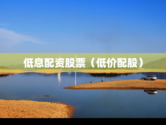 低息配资股票（低价配股）