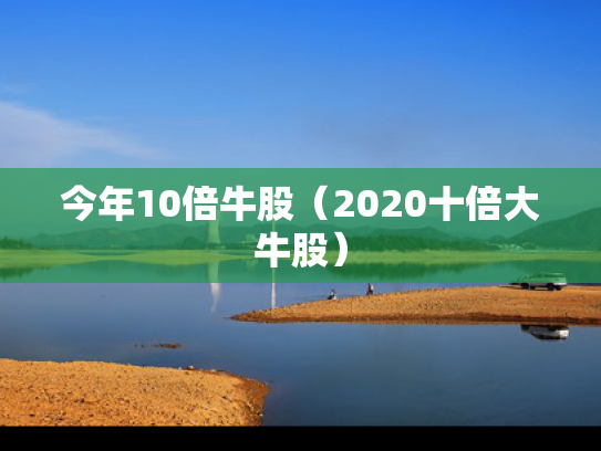 今年10倍牛股（2020十倍大牛股）