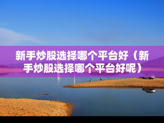新手炒股选择哪个平台好（新手炒股选择哪个平台好呢）
