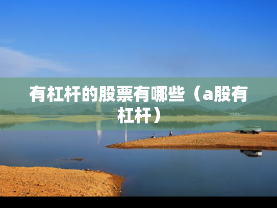 有杠杆的股票有哪些（a股有杠杆）
