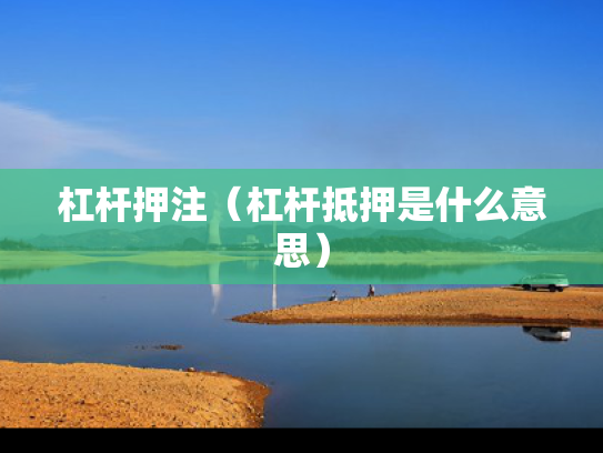 杠杆押注（杠杆抵押是什么意思）