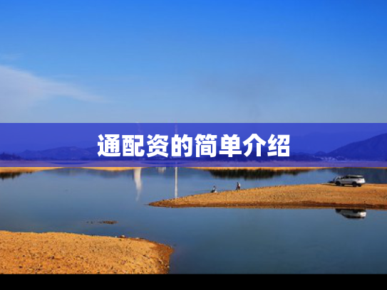 通配资的简单介绍