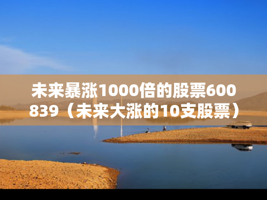 未来暴涨1000倍的股票600839（未来大涨的10支股票）