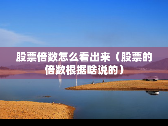 股票倍数怎么看出来（股票的倍数根据啥说的）