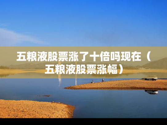 五粮液股票涨了十倍吗现在（五粮液股票涨幅）