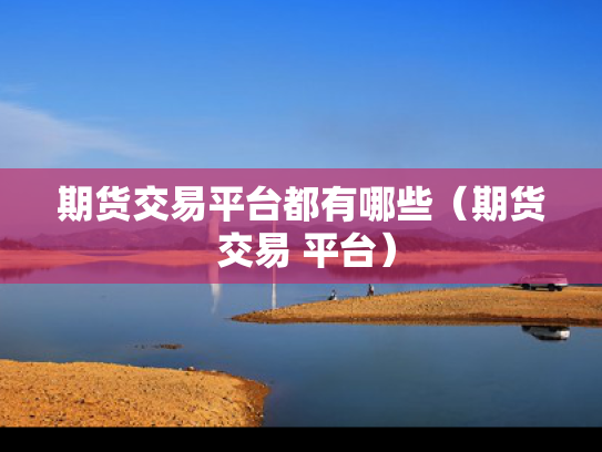 期货交易平台都有哪些（期货 交易 平台）