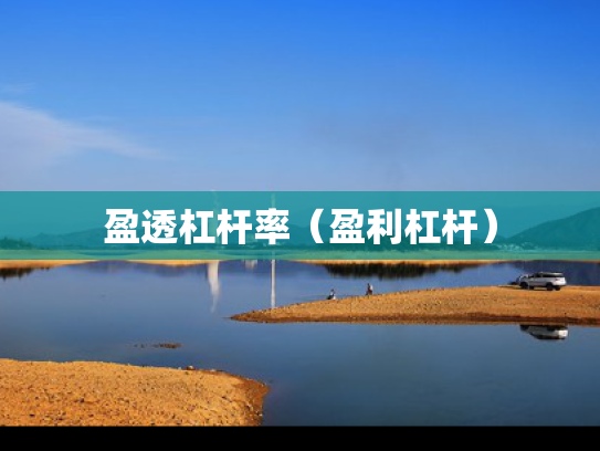 盈透杠杆率（盈利杠杆）