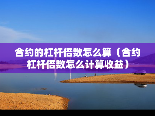 合约的杠杆倍数怎么算（合约杠杆倍数怎么计算收益）