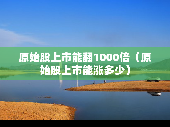 原始股上市能翻1000倍（原始股上市能涨多少）