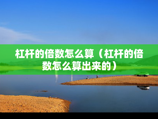 杠杆的倍数怎么算（杠杆的倍数怎么算出来的）
