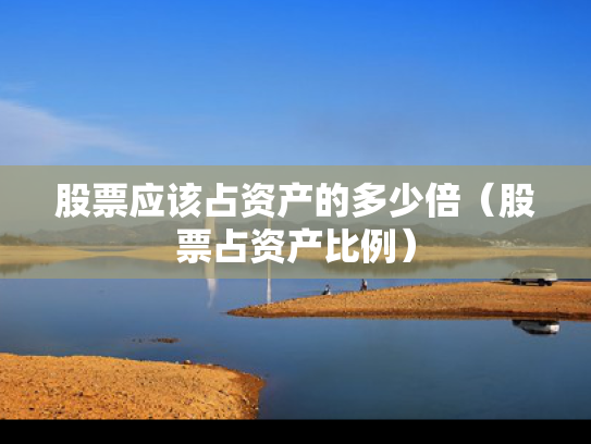 股票应该占资产的多少倍（股票占资产比例）