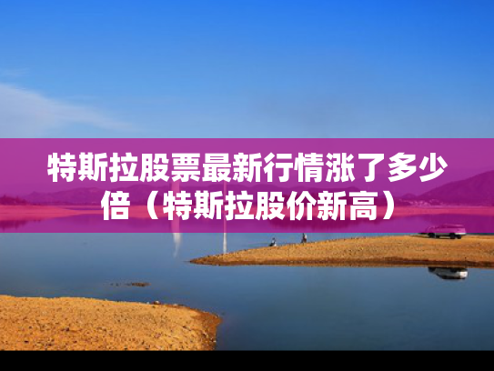 特斯拉股票最新行情涨了多少倍（特斯拉股价新高）