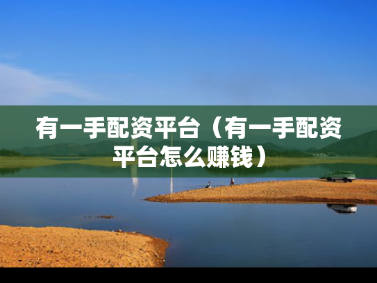 有一手配资平台（有一手配资平台怎么赚钱）