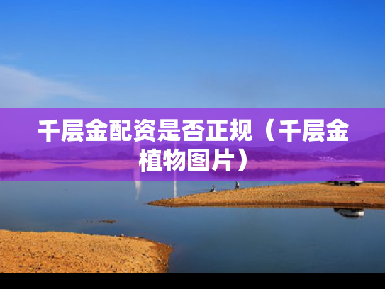 千层金配资是否正规（千层金植物图片）