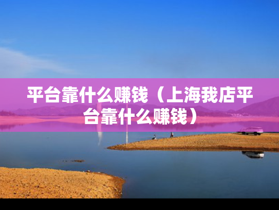 平台靠什么赚钱（上海我店平台靠什么赚钱）