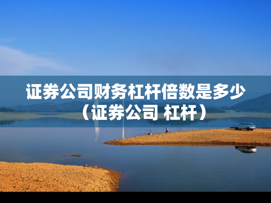 证券公司财务杠杆倍数是多少（证券公司 杠杆）
