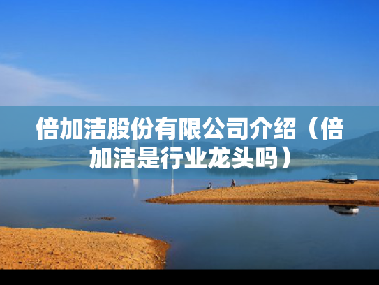 倍加洁股份有限公司介绍（倍加洁是行业龙头吗）