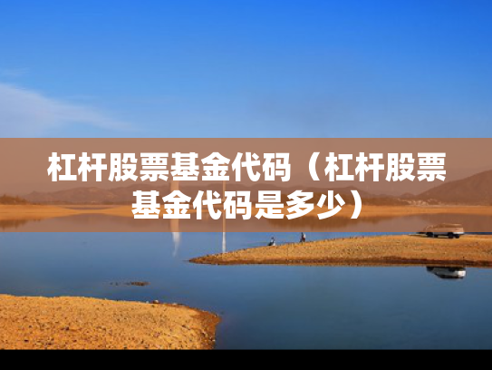 杠杆股票基金代码（杠杆股票基金代码是多少）
