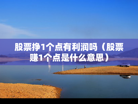 股票挣1个点有利润吗（股票赚1个点是什么意思）