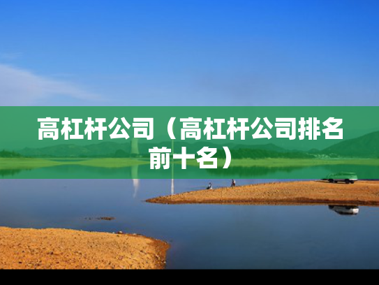 高杠杆公司（高杠杆公司排名前十名）
