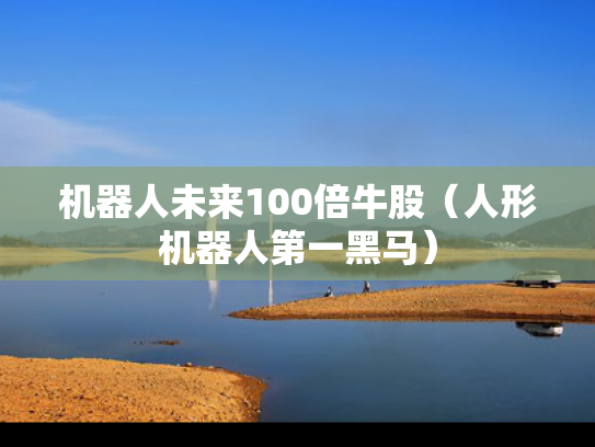 机器人未来100倍牛股（人形机器人第一黑马）