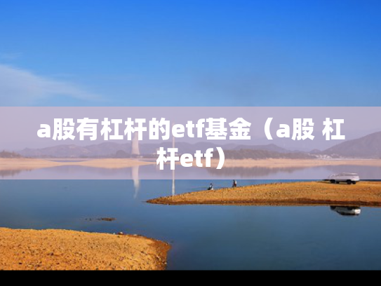 a股有杠杆的etf基金（a股 杠杆etf）